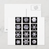 Schneeflocken Postkarte (Vorne/Hinten)