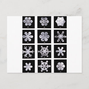 Schneeflocken Postkarte