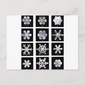 Schneeflocken Postkarte