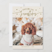 Schneeflocken & Schneeflocken Foto Creme Weihnacht Feiertagskarte (Vorderseite)