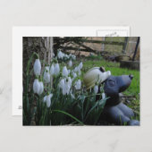 Schneeflocken und Maulwurfposter Postkarte (Vorne/Hinten)