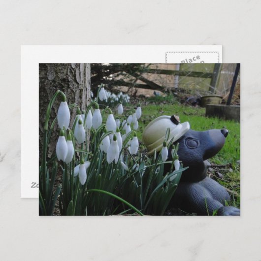 Schneeflocken und Maulwurfposter Postkarte (Vorne/Hinten)