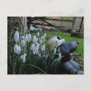 Schneeflocken und Maulwurfposter Postkarte