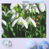 Schneeflocken - Winter blühende Blume Flyer (Einzeln)