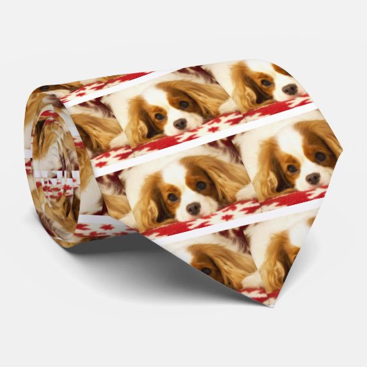 Schneefloh Cavalier King Charles Spaniel Krawatte (Gerollt)