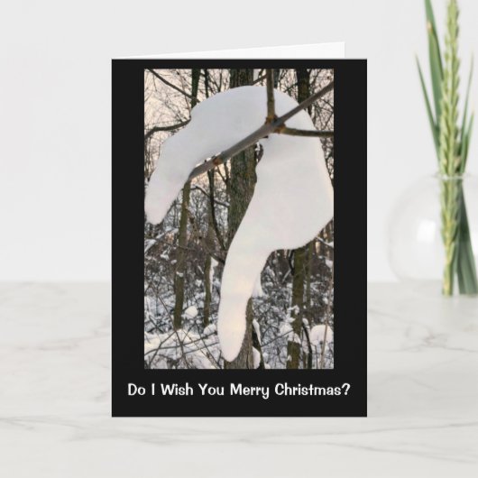 Schneefrage über die sonnige Weihnachtskarte Feiertagskarte (Vorderseite)