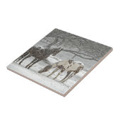 Schneefräse auf Pferden, gefroren Fliese (Seite)
