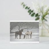 Schneefräse auf Pferden, gefroren Postkarte (Stehend Vorderseite)