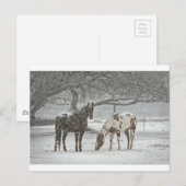 Schneefräse auf Pferden, gefroren Postkarte (Vorne/Hinten)