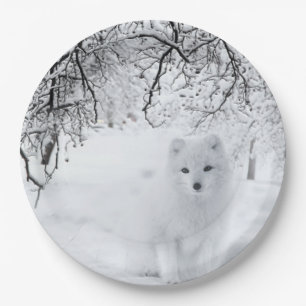 Schneefräse im Winterwald Pappteller