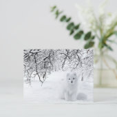 Schneefräse im Winterwald Postkarte (Stehend Vorderseite)