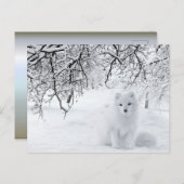 Schneefräse im Winterwald Postkarte (Vorne/Hinten)