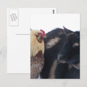 SCHNEEFREUNDE POSTKARTE (Vorne/Hinten)