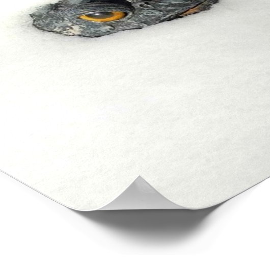 Schneefrosch Poster (Ecke)