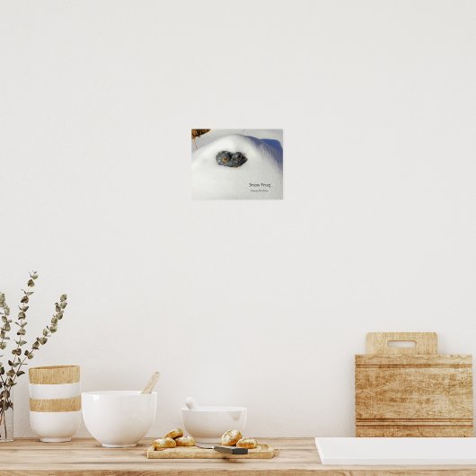 Schneefrosch Poster (Küche)