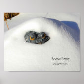 Schneefrosch Poster (Vorne)