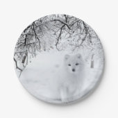 Schneefuchs im Winterwald Pappteller (Vorderseite)