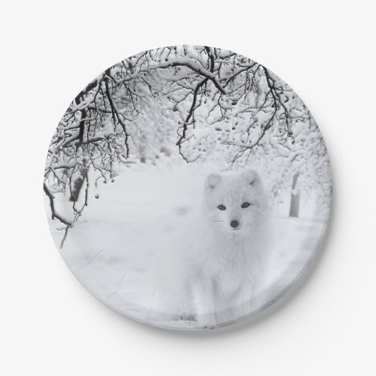 Schneefuchs im Winterwald Pappteller (Vorderseite)