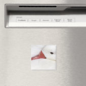 Schneegans Chen caerulescens Magnet (In Situ (Geschirrspüler))