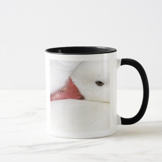 Schneegans Chen caerulescens Tasse (Rechts)
