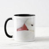 Schneegans Chen caerulescens Tasse (Links)