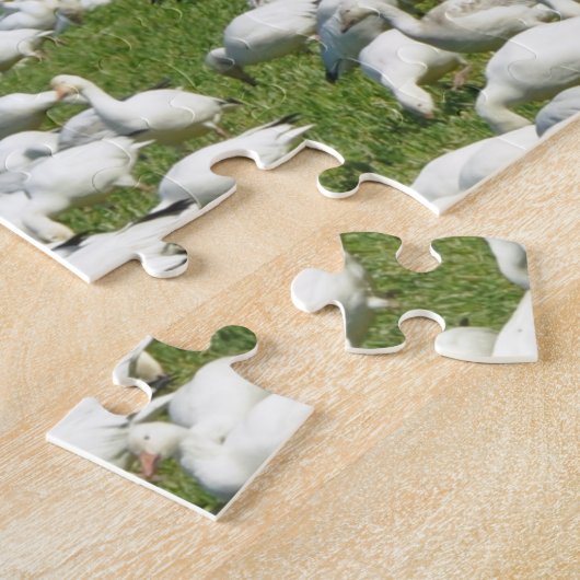 Schneegänse auf einem Feld Puzzle (Seite)