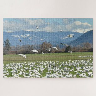Schneegänse auf einem Feld Puzzle