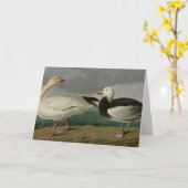 Schneegänse aus Audubons Vögeln Amerikas Karte (Gelbe Blume)