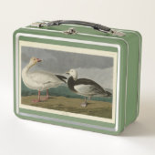 Schneegänse aus Audubons Vögeln Amerikas Metall Brotdose (Vorderseite)