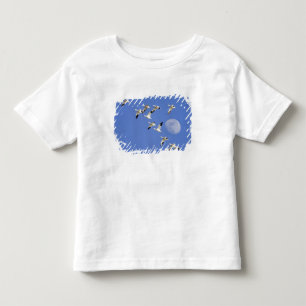 Schneegänse im Flug am Freezeout Lake NWR Kleinkind T-shirt