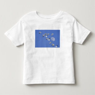 Schneegänse im Flug am Freezeout Lake NWR Kleinkind T-shirt