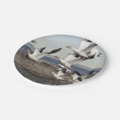 Schneegänse Pappteller (Schrägansicht)