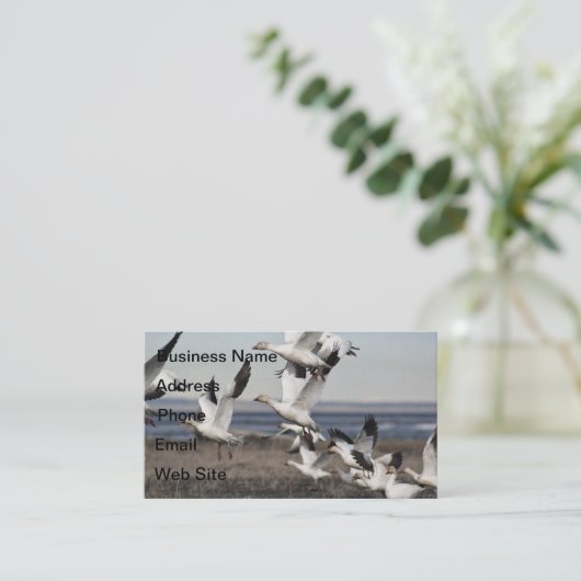 Schneegänse Visitenkarte (Stehend Vorderseite)