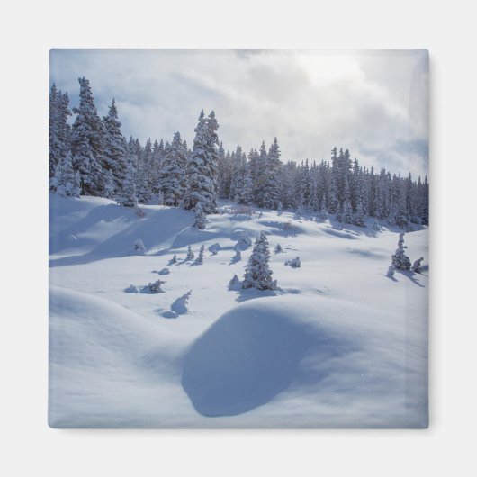Schneegebiet Magnet (Vorne)