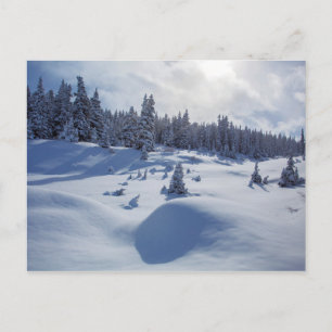 Schneegebiet Postkarte
