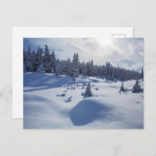 Schneegebiet Postkarte (Vorne/Hinten)