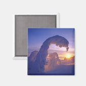 Schneegeister im Pfingstgebiet von Montana Magnet (Vorderseite/Rückseite)