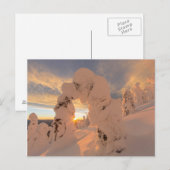 Schneegeister im Weißfischbereich Postkarte (Vorne/Hinten)