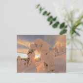 Schneegeister im Weißfischbereich Postkarte (Stehend Vorderseite)