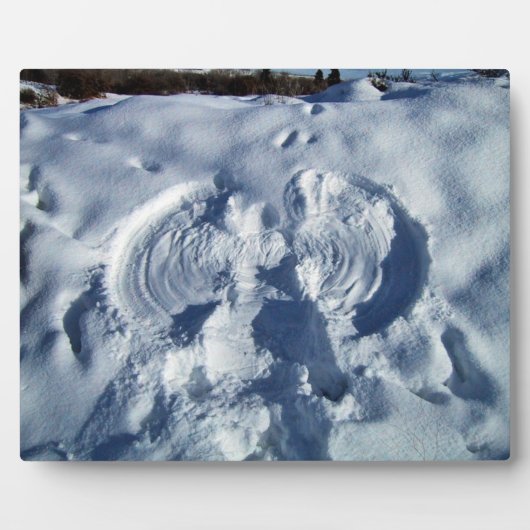 Schneegel Fotoplatte (Vorderseite)