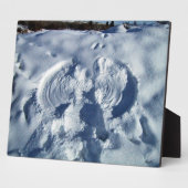 Schneegel Fotoplatte (Seite)