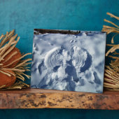 Schneegel Fotoplatte (Seite)