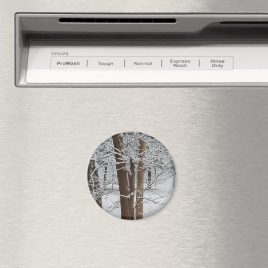 Schneegestelle Magnet (In Situ (Geschirrspüler))