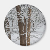 Schneegestelle Magnet (Vorne)