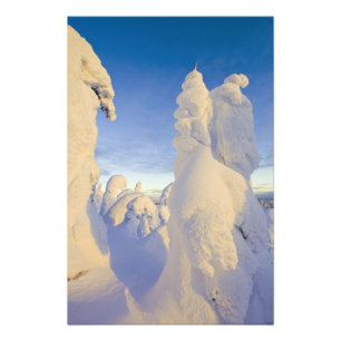Schneeghost am Sonnenuntergang am Whitefish Mounta Fotodruck
