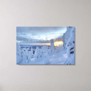 Schneeghost am Sonnenuntergang am Whitefish Mounta Leinwanddruck