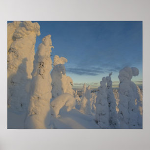 Schneeghost am Sonnenuntergang am Whitefish Mounta Poster