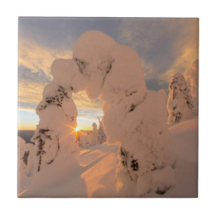 Schneeghost im Whitefish-Gebirge Fliese