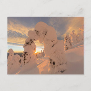 Schneeghost im Whitefish-Gebirge Postkarte