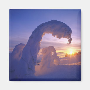 Schneeghost im Whitefish-Gebirge von Montana Magnet